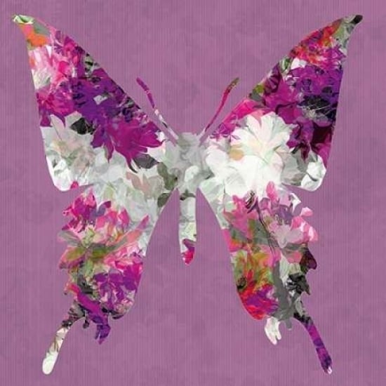 Butterfly Poster Print by Sally Scaffardi Image 1