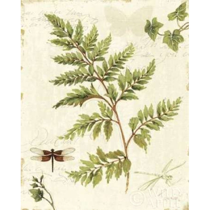 Ivies and Ferns I Poster Print by Lisa Audit Image 2