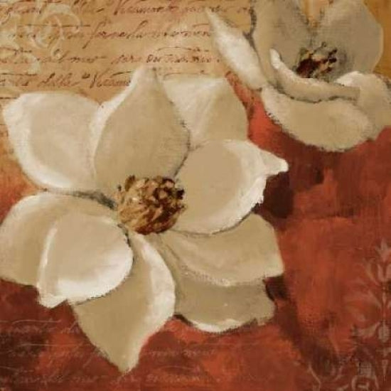 Midday Magnolias I Poster Print by Lanie Loreth Image 1