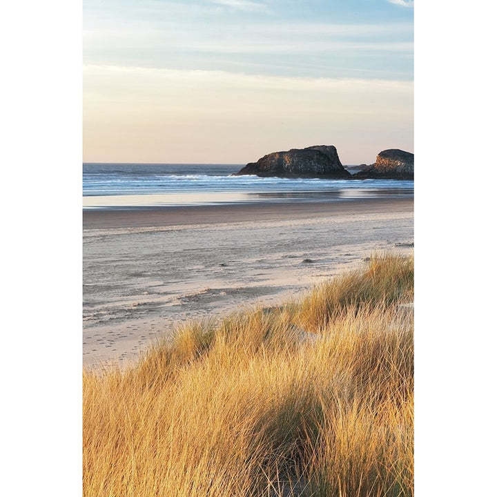 Dune Grass And Beach I Poster Print by Dennis Frates Image 1