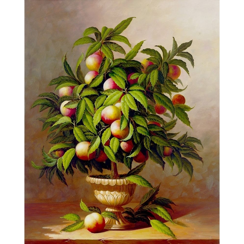 Potted Peach Tree by Welby Image 1