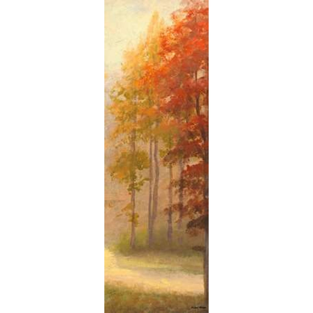 Fall Trees I Poster Print by Michael Marcon Image 1