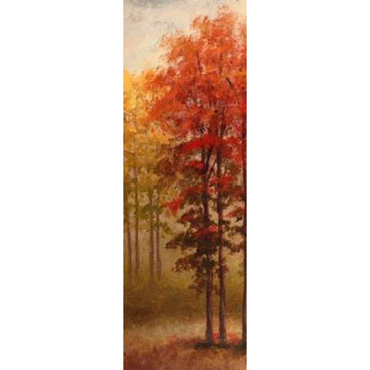 Fall Trees II Poster Print by Michael Marcon Image 2