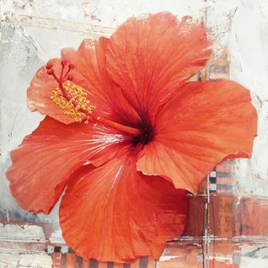 Hibiscus I Poster Print by Enrico Sestillo Image 1