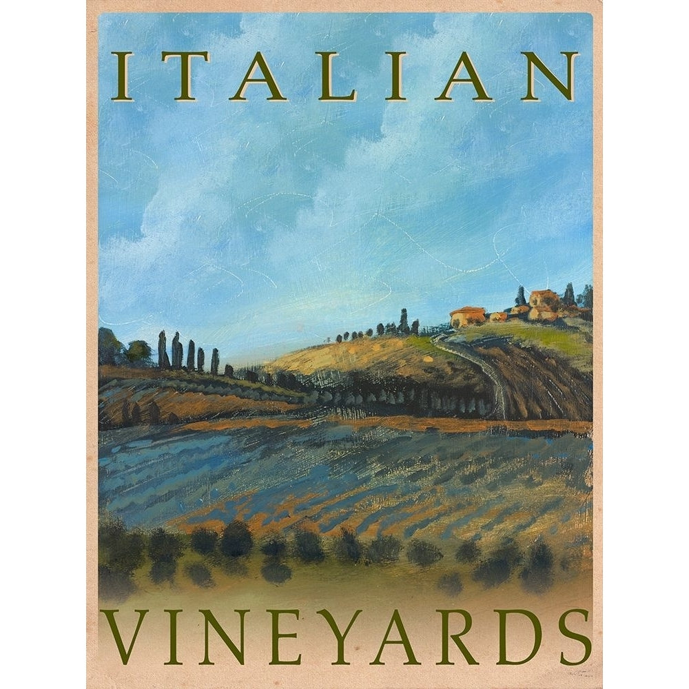 Italian Vineyards Poster Print by Kingsley Image 1