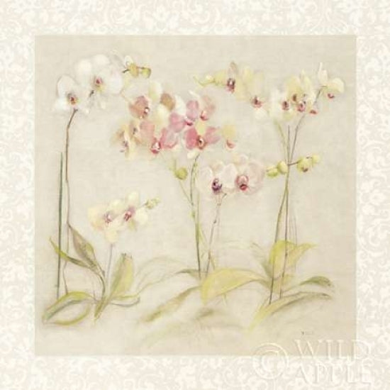 The Dance of the Orchids Poster Print by Cheri Blum Image 1