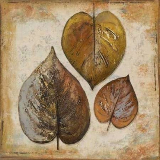 Natural Leaves II Poster Print by Patricia Pinto Image 1