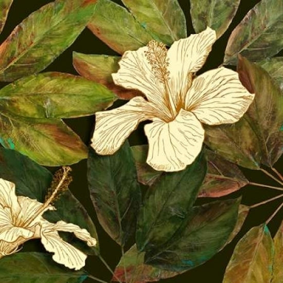 Hibiscus Leaves II Poster Print by Patricia Pinto Image 2