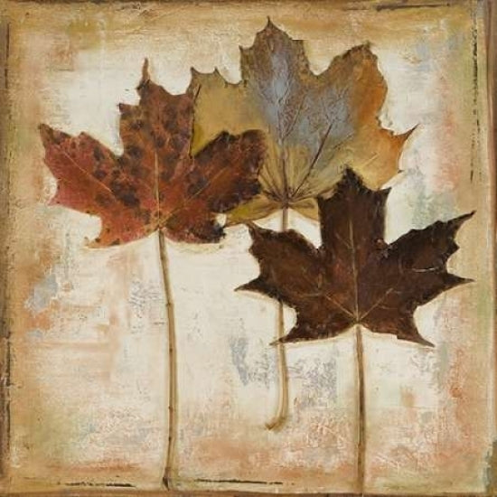 Natural Leaves III Poster Print by Patricia Pinto Image 2