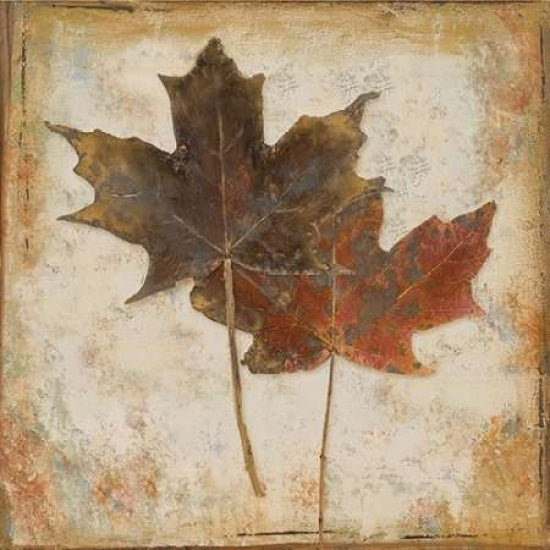 Natural Leaves IV Poster Print by Patricia Pinto Image 1