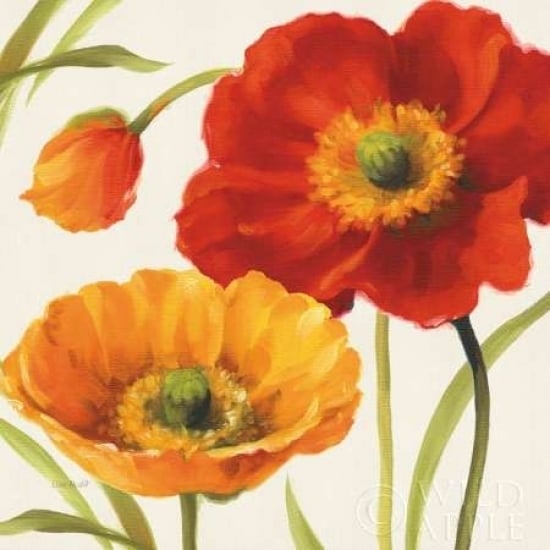 Poppies Melody III Poster Print by Lisa Audit Image 1