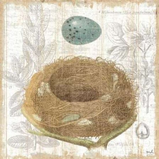 Botanical Nest III Poster Print by Moira Hershey Image 1