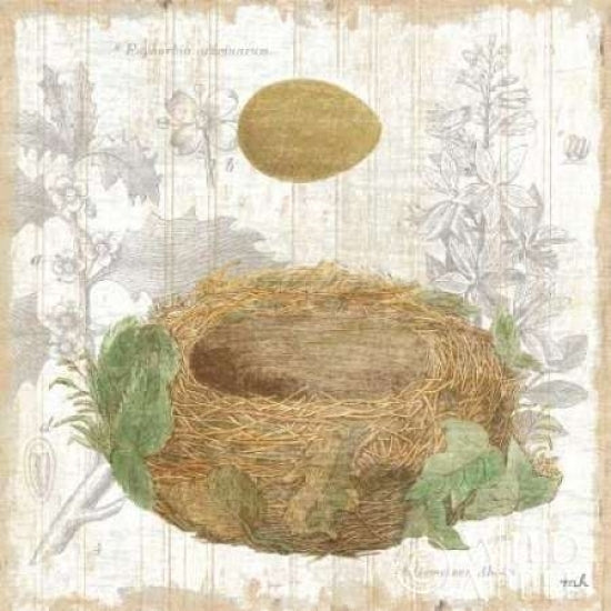 Botanical Nest IV Poster Print by Moira Hershey Image 2