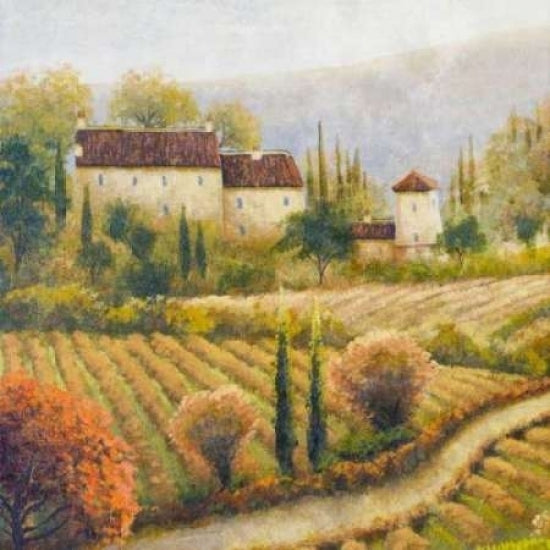 Tuscany Vineyard I Poster Print by Michael Marcon Image 1