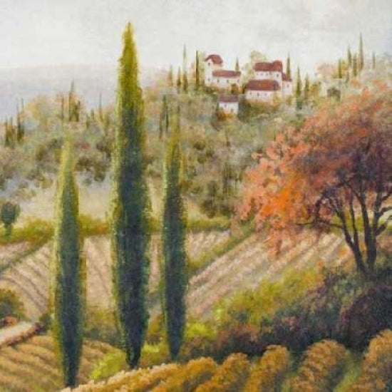 Tuscany Vineyard II Poster Print by Michael Marcon Image 2