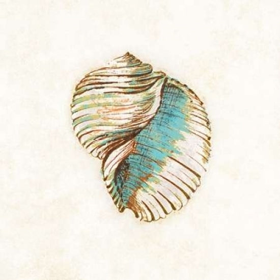 Coastal Teal Seashell I Poster Print by Lanie Loreth Image 2