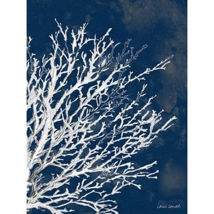 Coastal Coral II Poster Print by Lanie Loreth Image 1