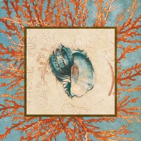 Coral Medley Shell II Poster Print by Lanie Loreth Image 1