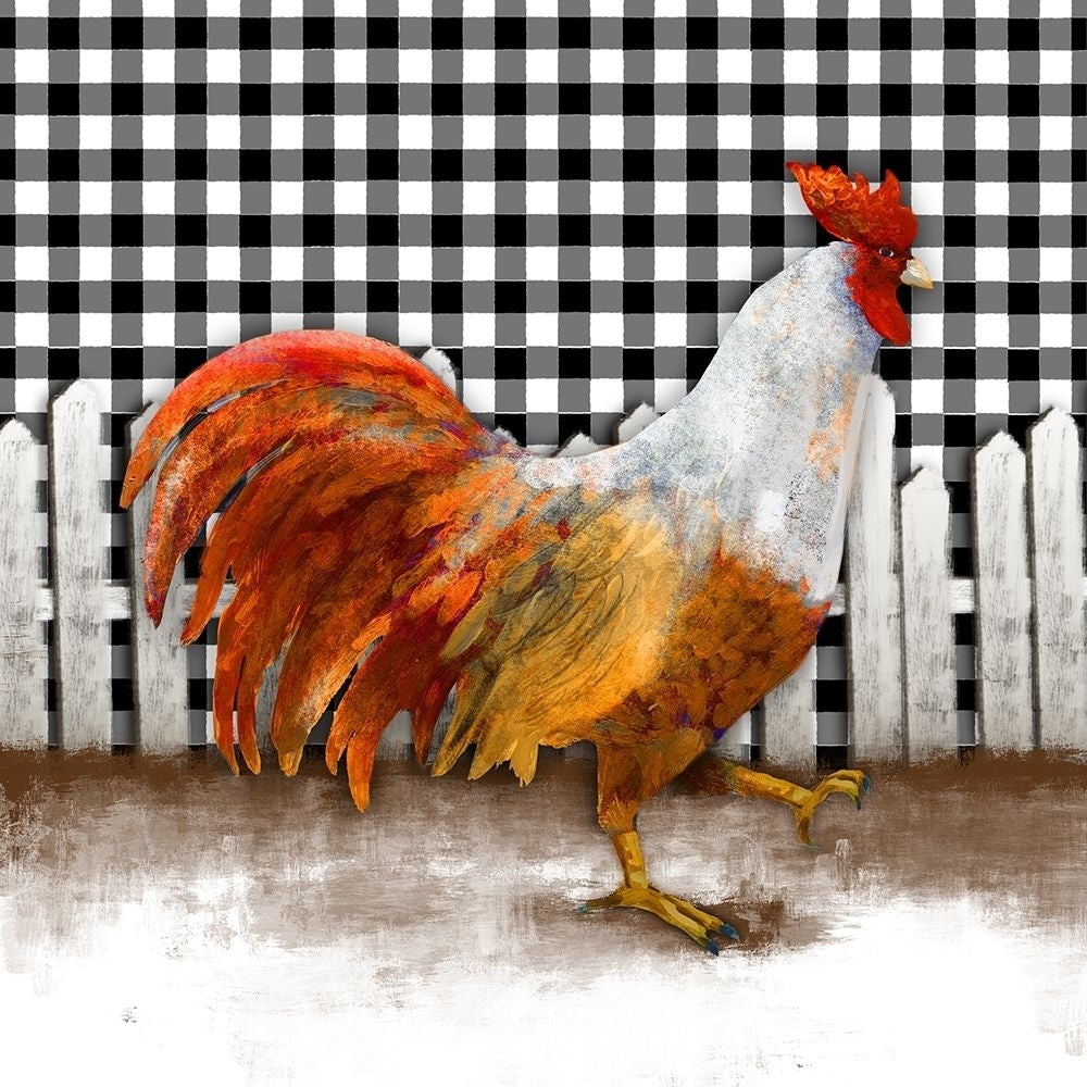 Morning Rooster I Poster Print by Dan Meneely Image 1