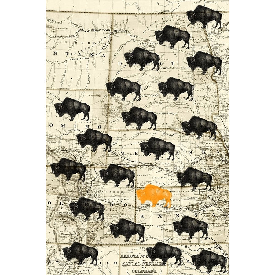 Where the Buffalo Roam Poster Print - ArtLab GI Image 1