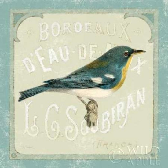 Parisian Bird I Poster Print by Sue Schlabach Image 2