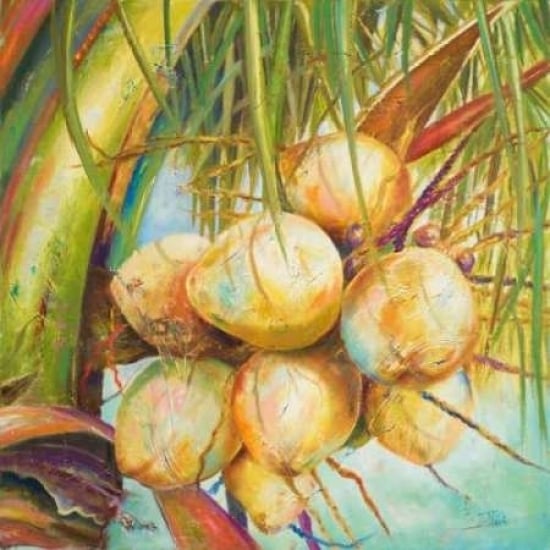 Patricias Coconuts I Poster Print by Patricia Pinto Image 2