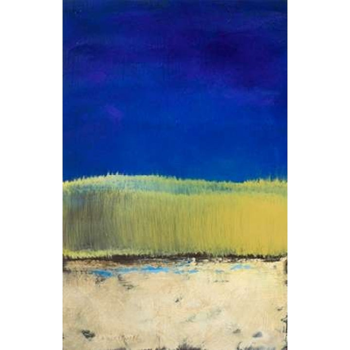 Blue Lagoon II Poster Print by Lanie Loreth Image 1