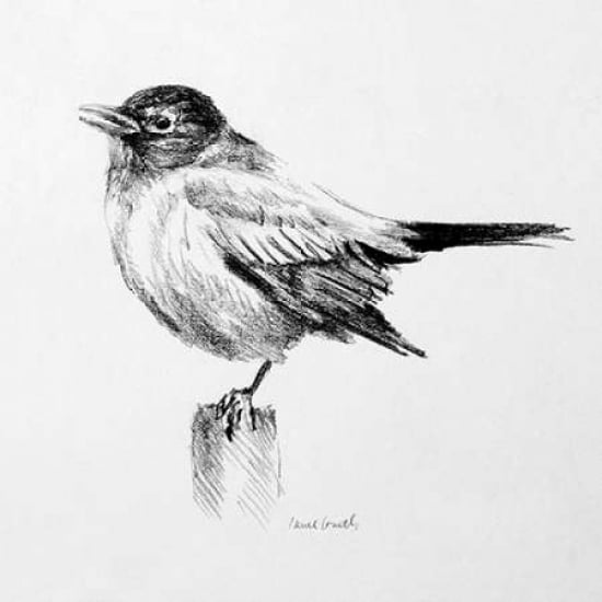 Bird Drawing III Poster Print by Lanie Loreth Image 2