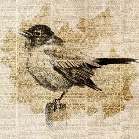 Bird Study II Poster Print by Lanie Loreth Image 1