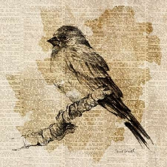 Bird Study I Poster Print by Lanie Loreth Image 2