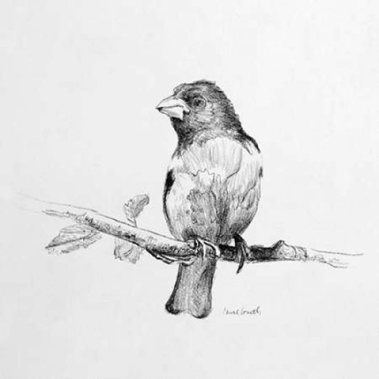 Bird Drawing IV Poster Print by Lanie Loreth Image 1