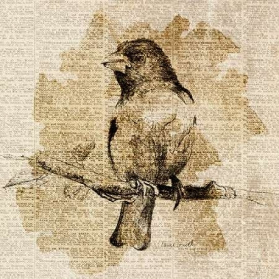 Bird Study IV Poster Print by Lanie Loreth Image 1