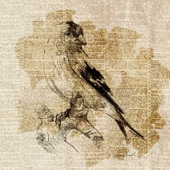 Bird Study III Poster Print by Lanie Loreth Image 2