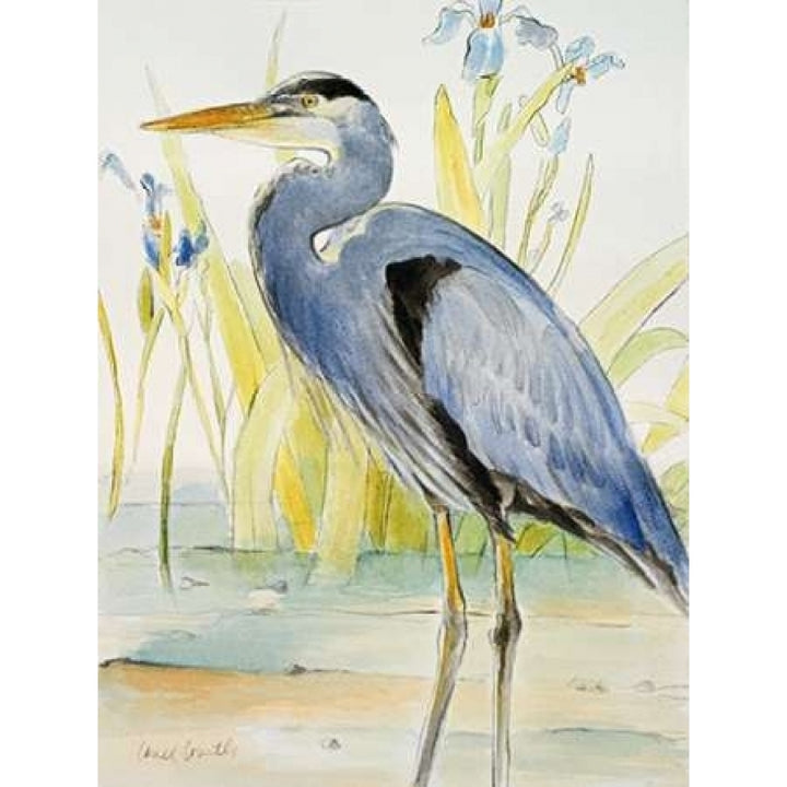 Great Blue Heron Poster Print by Lanie Loreth Image 1