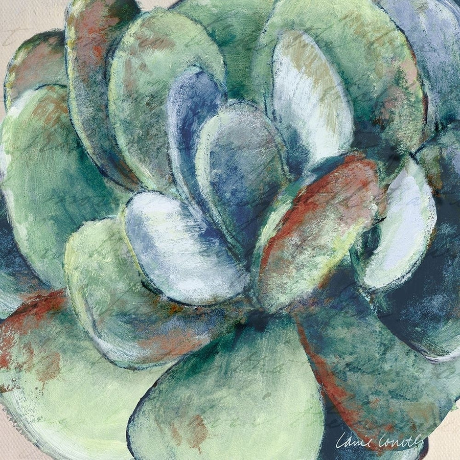 Wonderful Succulent Poster Print by Lanie Loreth Image 1