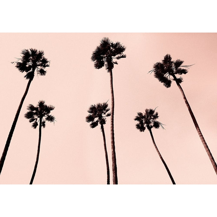 Palm Trees 1997 Copper Poster Print by Erik Asla Image 1