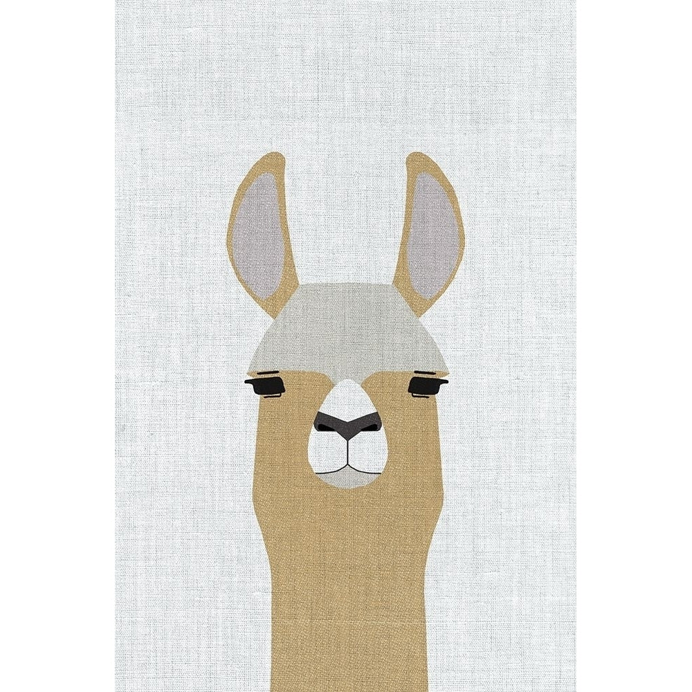 Llama Poster Print by Annie Bailey Art Image 1