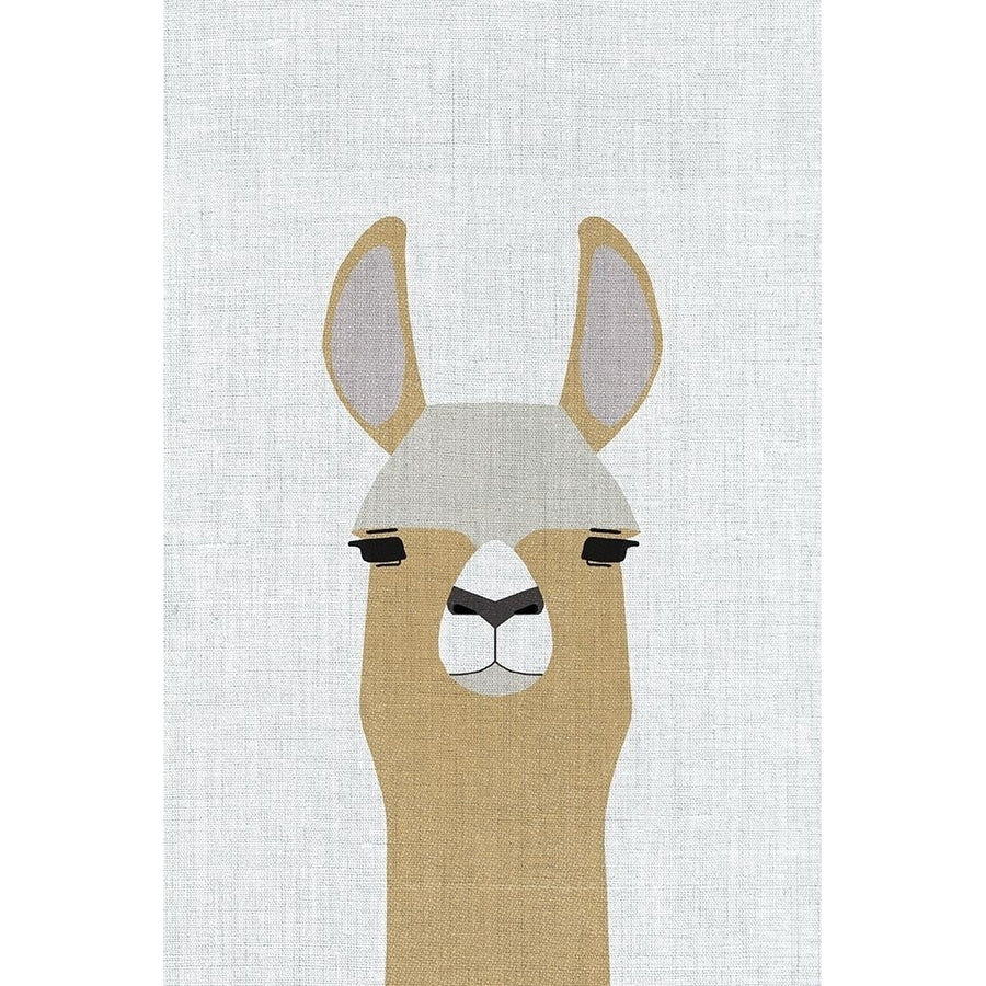 Llama Poster Print by Annie Bailey Art Image 1