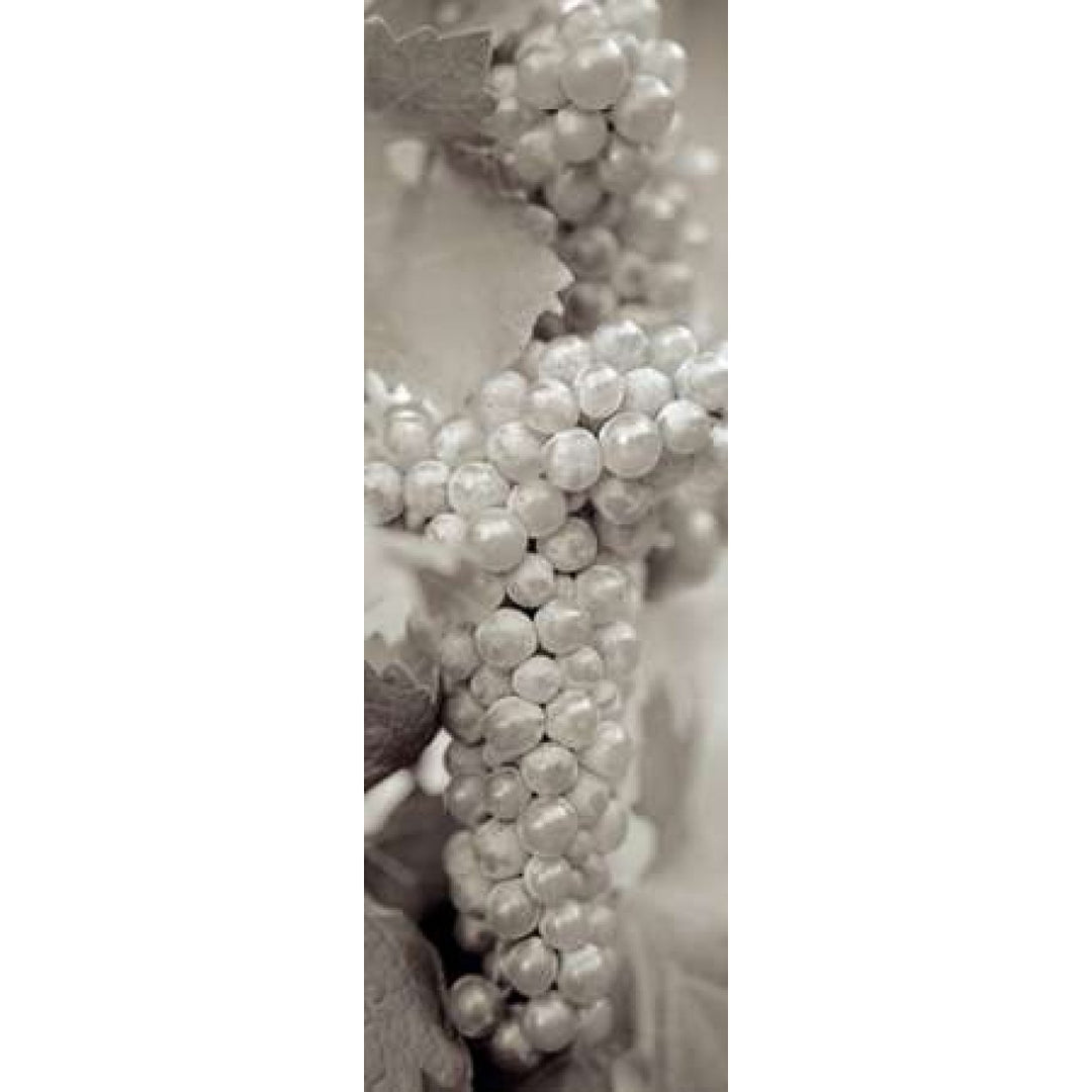 Grapes Pano - 7 Poster Print by Alan Blaustein Image 1