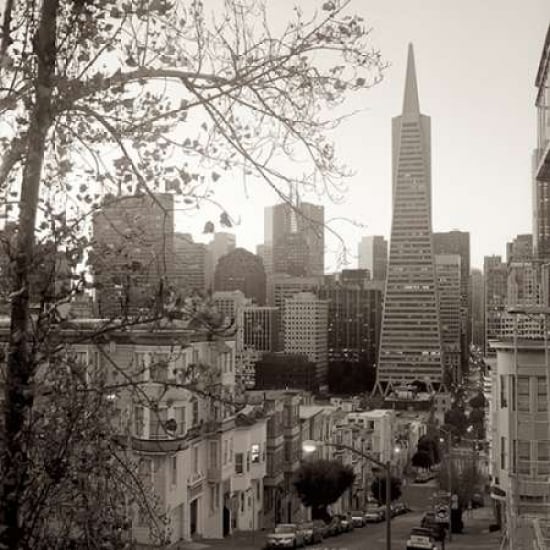 SF Skyline - 3 Poster Print by Alan Blaustein Image 1