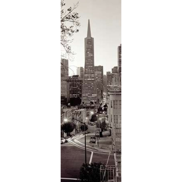 Transamerica Pano - 1 Poster Print by Alan Blaustein Image 2