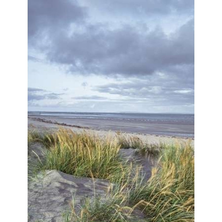 Sand dunes and grass West wittering beach UK Poster Print by Assaf Frank Image 2