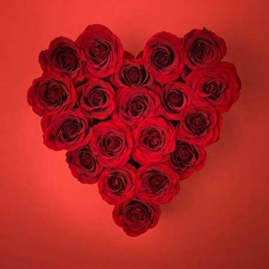 Rose flowers in heart shape Poster Print by Assaf Frank Image 2