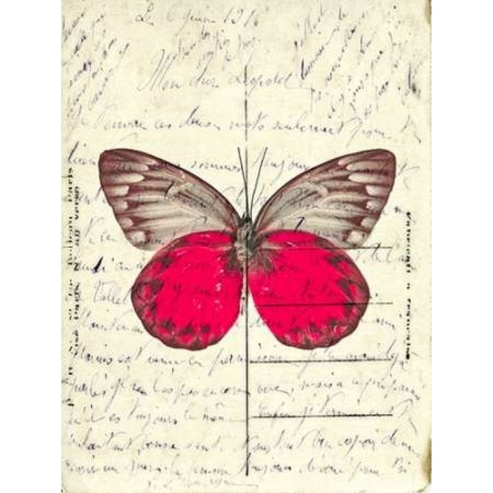 Handwritten old postcard with butterfly Poster Print by Assaf Frank Image 1