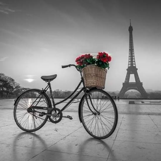 A bicycle with a basket of flowers with the Eiffel tower in the background Poster Print by Assaf Frank Image 2