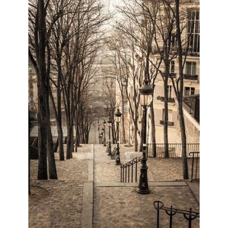 The famous staircase in Montmartre Paris France Poster Print by Assaf Frank Image 1