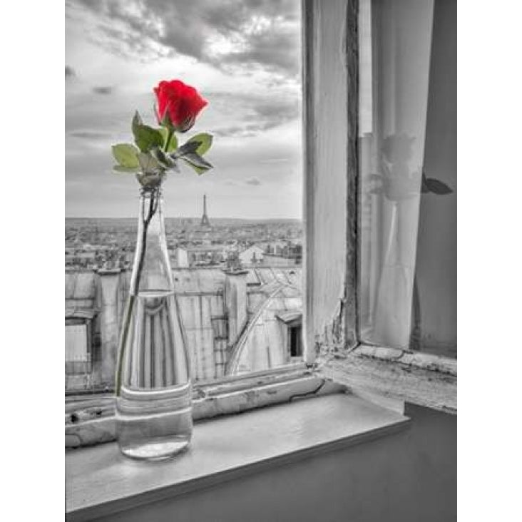 Flower vase on window with Eiffle tower in background Paris Poster Print by Assaf Frank Image 1