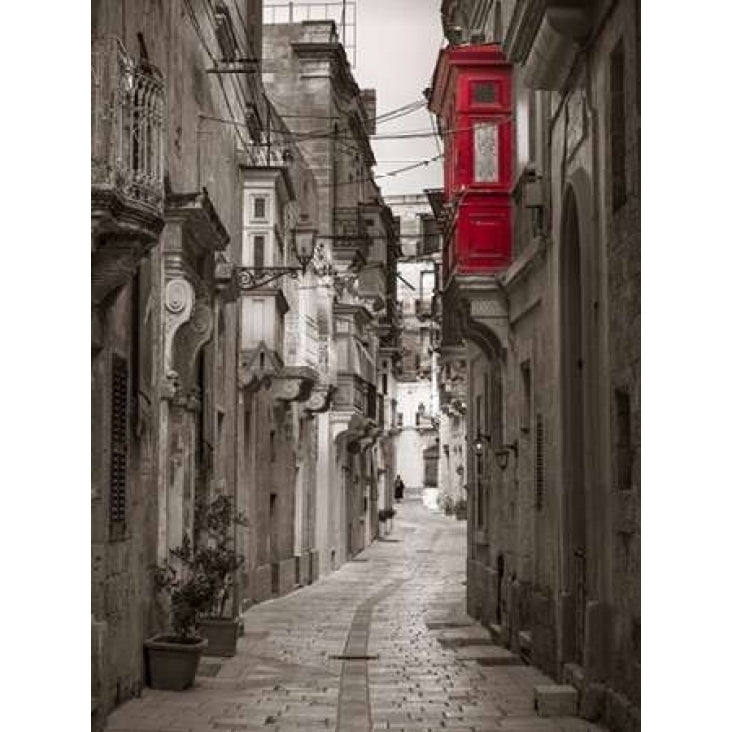 Narrow street through traditional maltese houses in Birgu Malta Poster Print by Assaf Frank Image 2