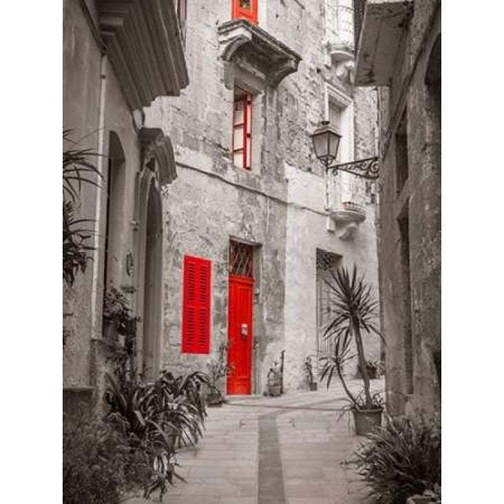 Narrow street through traditional maltese houses in Birgu Malta Poster Print by Assaf Frank Image 1