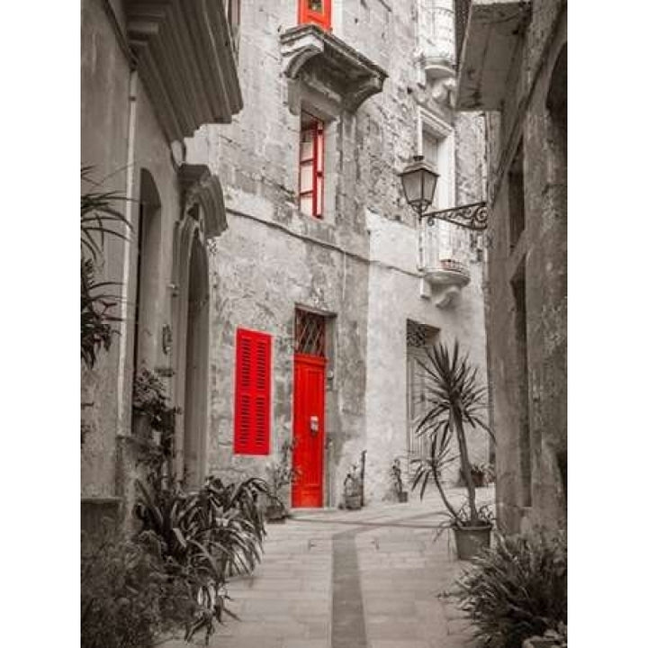 Narrow street through traditional maltese houses in Birgu Malta Poster Print by Assaf Frank Image 2